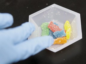 Edible marijuana samples are set aside for evaluation at Cannalysis, a cannabis testing laboratory, in Santa Ana, Calif. on Aug. 22, 2018. Quebecers hoping to buy cannabis chocolates, jujubes and other sweets after they become legal in Canada will be out of luck as the provincial government has decided to ban their sale.