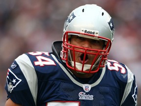 Tedy Bruschi of the New England Patriots celebrates his sack of Derek Anderson of the Cleveland Browns on October 7, 2007 at Gillette Stadium in Foxboro. (Elsa/Getty Images)