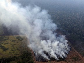 Smoke billows during a fire in an area of the Amazon rainforest near Porto Velho, Brazil August 21, 2019. (REUTERS/Ueslei Marcelino)