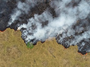 An aerial view shows smoke rising over a deforested plot of the Amazon jungle in Porto Velho, Brazil, in this August 24, 2019 picture taken with a drone. (REUTERS/Ueslei Marcelino)