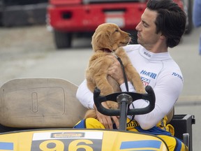 Denny (Milo Ventimiglia) with Enzo (voice of Kevin Costner) in "The Art of Racing in the Rain." (Doane Gregory, Twentieth Century Fox)