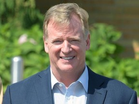 NFL commissioner Roger Goodell poses at the Pro Football Hall of Fame.
