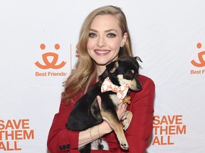 Amanda Seyfried attends Best Friends Animal Society’s Benefit to Save Them All at Gustavino's on April 02, 2019 in New York City. Jamie McCarthy/Getty Images for Best Friends Animal Society