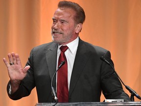 Arnold Schwarzenegger speaks  onstage during Hollywood Foreign Press Association's Annual Grants Banquet at Regent Beverly Wilshire Hotel on July 31, 2019 in Beverly Hills, California.