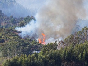 Flames and smoke from a forest fire are seen in the village of Guia, in the Canary Island of Gran Canaria, Spain, August 19, 2019.