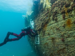 An underwater archaeologist inspects the hull of HMS Erebus. (CNW Group/Parks Canada)