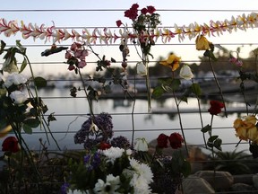 Flowers are displayed in Santa Barbara Harbor at a makeshift memorial for victims of the Conception boat fire on September 3, 2019 in Santa Barbara, California.  Authorities believe none of the 34 people below deck survived after the commercial scuba diving ship caught fire and sank, while moored near Santa Cruz Island, in the early morning hours of September 2. Five crew members survived.
