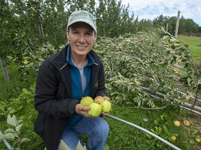 Lisa Jenereaux, president of the International Fruit Tree Association, stands in an apple orchard at their family-run Spurr Brothers farm in Melvern Square, N.S. on Thursday, Sept. 12, 2019.