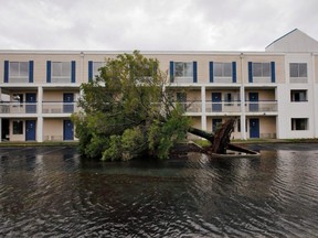A fallen tree and flood waters sit in a hotel parking lot after Hurricane Dorian swept through, in Wilmington, North Carolina, on Friday, Sept. 6, 2019.