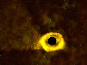 NASA's Transiting Exoplanet Survey Satellite (TESS) captured an image of a black hole ripping apart a star. (Twitter)