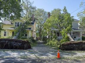 Two fallen trees rest on neighbouring houses in Halifax on Sunday, Sept. 8, 2019.