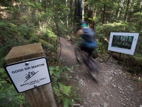 A mountain biker speeds past a photograph on Good Sir Martin bike trail on Mount Seymour in North Vancouver, B.C., Monday, July, 25, 2016.