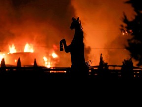 A horse statue is silhouetted by a burning structure during the wind-driven Kincade Fire in Windsor, California, U.S. October 27, 2019.