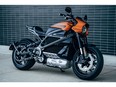 Harley-Davidson's new electric motorcycle, LiveWire, is shown in this handout photo released by Harley-Davidson.