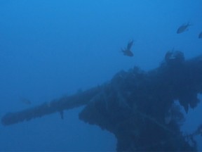 The wreck of a submarine, which University of Malta says is Britain's HMS Urge that vanished during the Second World War, is seen lying at the bottom of the sea off Malta, in a still image taken from an undated video released on Oct. 31, 2019.