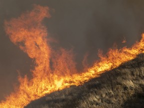 Strong winds drive the Easy Fire on Oct. 30, 2019 near Simi Valley, Calif.