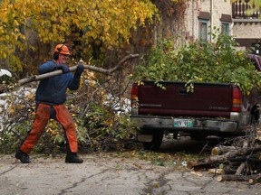 Robert Weiss of Long Term Tree Growth Services works to clear a yard on Wellington Crescent in Winnipeg on Mon., Oct. 14, 2019. Kevin King/Winnipeg Sun/Postmedia Network