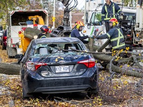 Workers remove a large tree limb that fell on a car on Madison Ave. in the Notre-Dame-de-Grâce district of Montreal on Saturday Nov. 2, 2019.