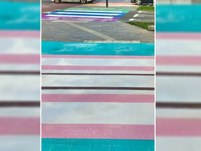 A multi-coloured road crossing dedicated to transgender people debuted in the town of Almere in the Netherlands. (Facebook)