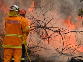 Firefighters tackle a bushfire to save a home in Taree, Australia, 350 km north of Sydney, on Saturday, Nov. 9, 2019 as they try to contain dozens of out-of-control blazes that are raging in the state of New South Wales.