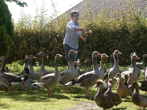 This file photo taken on September 2, 2019 shows Dominique Douthe as she takes care of her ducks and geese, in Soustons, southwestern France. (IROZ GAIZKA/AFP via Getty Images)