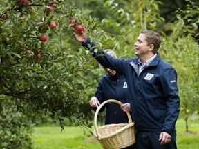 Federal Conservative leader Andrew Scheer and his wife Jill pick apples at the Triple Creek Farm during a campaign stop in Maple Ridge, B.C., on Friday, September 27, 2019.