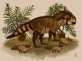 A Ferrisaurus is seen in this undated illustration.