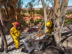 Firefighters from Napa Valley battle to control hotspots of the Maria Fire, in Santa Paula, Ventura County, Calif., on Nov. 2, 2019.