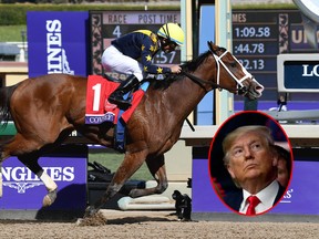 Joel Rosario aboard Covfefe wins the Filly & Mare sprint during the 36th Breeders Cup world championships at Santa Anita Park. (Inset) U.S. President Donald Trump.(Richard Mackson-USA TODAY Sports/Getty Images)