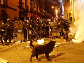 A dog walks past police dealing with tear gas during clashes between protesters against Bolivia's President Evo Morales and government supporters, in La Paz, Bolivia November 7, 2019. (REUTERS/Kai Pfaffenbach)