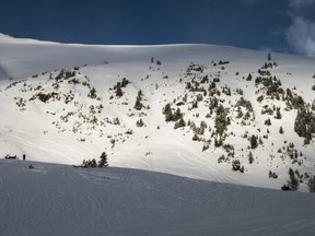 The mountain scenery at Paradise Bowl, the terminus of the snowmobile tour with Toby Creek Adventures in Panorama, British Columbia. Ernest Doroszuk/Toronto Sun