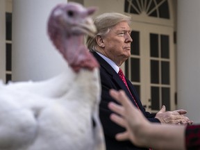 President Donald Trump stands next to Butter, the National Thanksgiving Turkey, after giving him a presidential pardon during the traditional event in the Rose Garden of the White House November 26, 2019 in Washington. (Drew Angerer/Getty Images)