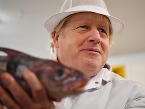 British Prime Minister and Conservative leader Boris Johnson poses holding a fish during a general election campaign visit to Grimsby Fish Market on December 9, 2019 in Grimsby. (Ben Stansall WPA Pool/Getty Images)