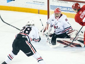 Niagara IceDogs goaltender Tucker Tynan is photographed in recent OHL game against the Soo Greyhounds.