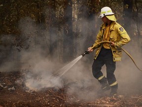 RFS Crews work to put out spot fires on January 5, 2020 in Kangaroo Valley, Australia.
