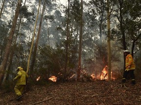 Firefighters tackle a a bushfire south of Nowra on January 5, 2020.