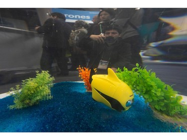 The Robosea Biki underwater drone is displayed at the 2020 Consumer Electronics Show (CES) 
in Las Vegas on Jan. 9, 2020.