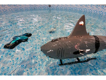 The Robosea Robo-Shark (R) and Seaflyer underwater drones are displayed at the 2020 Consumer Electronics Show (CES), Jan. 9, 2020 in Las Vegas.