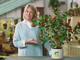 Famed lifestyle expert Martha Stewart recently partnered with Subway Canada to launch the company's meatless meatball sub.