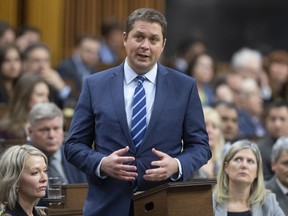 Conservative Leader Andrew Scheer rises during Question Period in the House of Commons, Monday Jan. 27, 2020 in Ottawa.