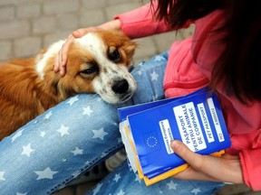 Ana-Maria Ciulcu, a Romanian, holds European Union pet passports in Bucharest April 12, 2014. Picture taken April 12, 2014.