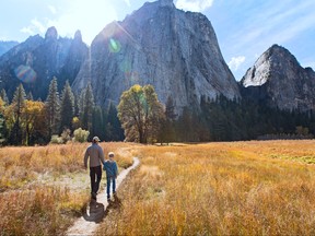 This undated file photo shows a father and son walking towards the mountains in Yosemite National Park, Calif. (Getty Images file photo)