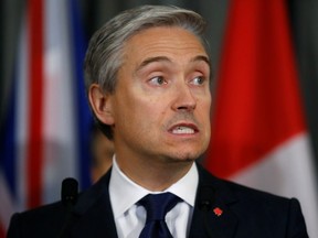 Foreign Affairs Minister Francois-Philippe Champagne speaks during a news conference after a meeting of the International Coordination and Response Group for the families of the victims of the Ukraine International flight which crashed in Iran, at the High Commission of Canada in London, England, Jan. 16, 2020.