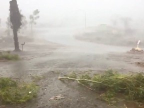 Fallen branches and trees sway as tropical cyclone Damien hits Dampier, Western Australia, Feb. 8, 2020, in this still image from video obtained via social media. (Nigel Gibson via REUTERS)