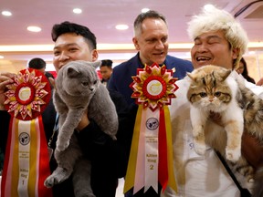 Vice chairman of World Cat Federation Albert Kurkowski presents first title to the cat of Nguyen Xuan Son of Vietnam and second title to the cat of Tawin Prai of Thailand during the Vietnam's first cat show in Hanoi, Vietnam Feb. 16, 2020. REUTERS/Kham