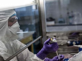 A scientist is at work in the VirPath university laboratory, classified as "P3" level of safety, on February 5, 2020 as they try to find an effective treatment against the new SARS-like coronavirus, which has already caused more than 560 deaths.