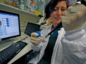 An Israeli scientist works at a laboratory at the MIGAL Research Institute in Kiryat Shmona in the upper Galilee in northern Israel on February 27, 2020. - After 4 years of multi-disciplinary research funded by Israels Ministry of Science and Technology in cooperation with Israels Ministry of Agriculture, MIGAL has achieved a scientific breakthrough that will lead to the rapid creation of a vaccine against Coronavirus.
