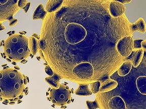 This handout illustration image obtained February 27, 2020 courtesy of the US Food and Drug Administration shows the coronavirus, COVID-19.