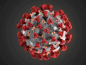 The ultrastructural morphology exhibited by the 2019 novel Coronavirus (COVID-19), which was identified as the cause of an outbreak of respiratory illness first detected in Wuhan, China, is seen in an illustration released by the Centers for Disease Control and Prevention in Atlanta, Ga., Jan, 29, 2020.