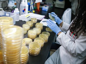A researcher works in a lab that is developing testing for the COVID-19 coronavirus at Hackensack Meridian Health Center for Discovery and Innovation on Feb. 28, 2020 in Nutley, N.J.